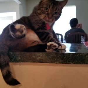 Meet your Posher, Isabella